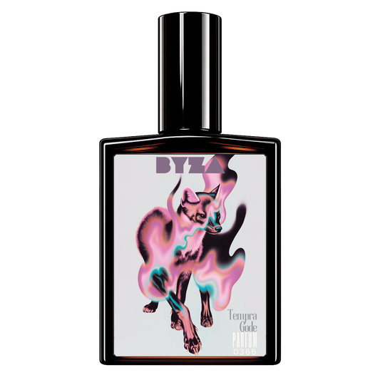 TEMPRA GODE by BYZA perfume — smells like Nishane Tero