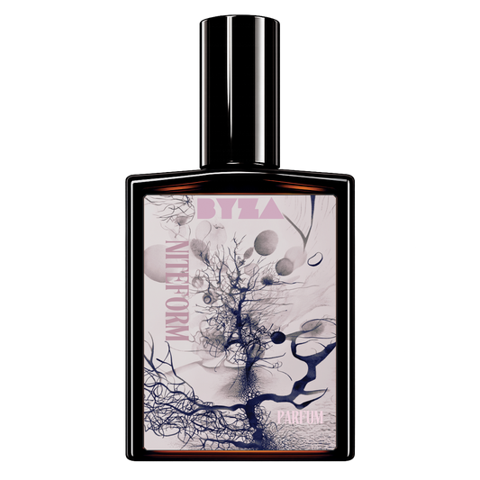 Niteform by BYZA perfume — smells like Maison Crivelli Cuir InfraRouge