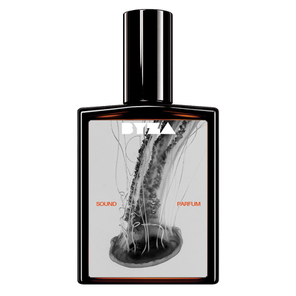 BYZA Sound parfum bottle, fragrance inspired by Louis Vuitton Symphony